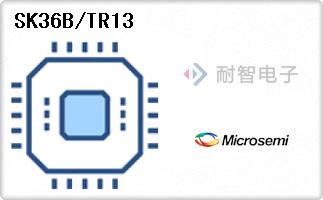 SK36B/TR13