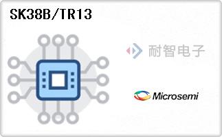 SK38B/TR13