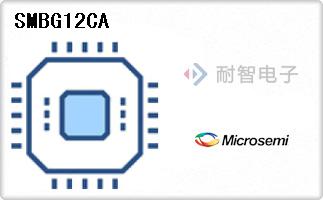 SMBG12CA