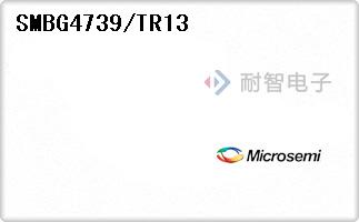 SMBG4739/TR13