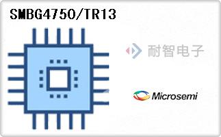 SMBG4750/TR13
