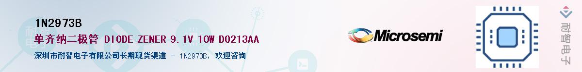 1N2973B��Ӧ��-���ǵ���