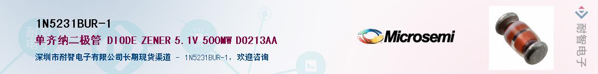 1N5231BUR-1��Ӧ��-���ǵ���