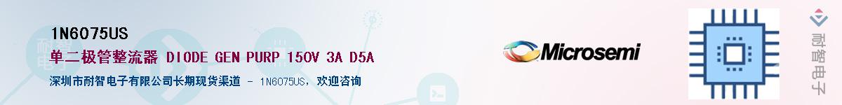 1N6075US��Ӧ��-���ǵ���