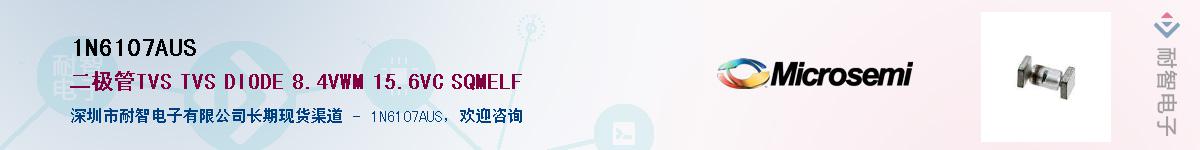 1N6107AUS��Ӧ��-���ǵ���