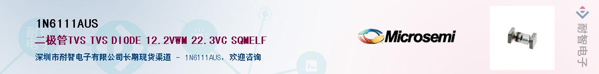 1N6111AUS��Ӧ��-���ǵ���