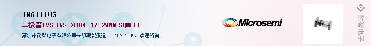 1N6111US��Ӧ��-���ǵ���