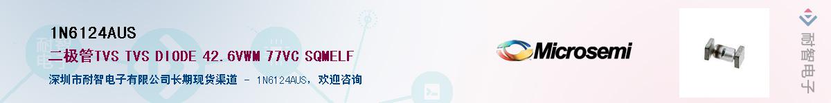 1N6124AUS��Ӧ��-���ǵ���
