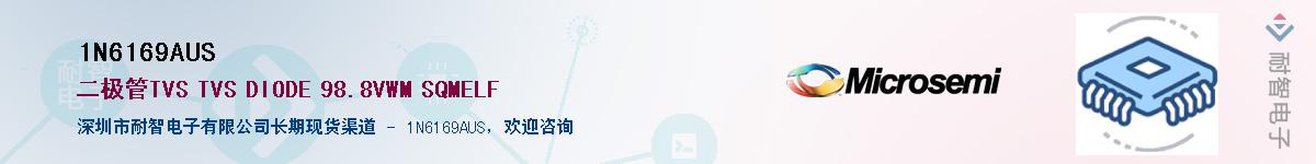 1N6169AUS��Ӧ��-���ǵ���