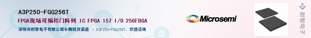 A3P250-FGG256T��Ӧ��-���ǵ���