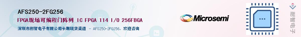 AFS250-2FG256��Ӧ��-���ǵ���