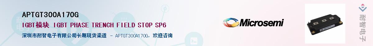 APTGT300A170G��Ӧ��-���ǵ���