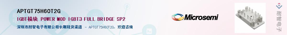 APTGT75H60T2G��Ӧ��-���ǵ���