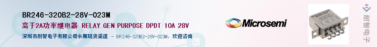 BR246-320B2-28V-023M��Ӧ��-���ǵ���
