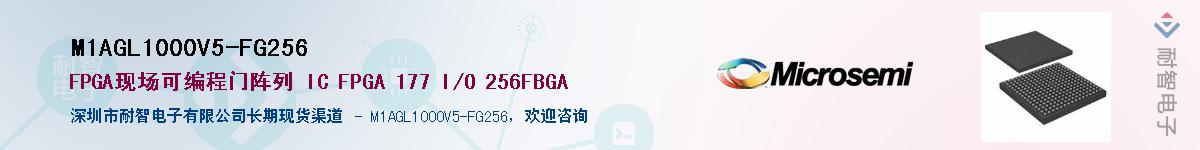 M1AGL1000V5-FG256��Ӧ��-���ǵ���