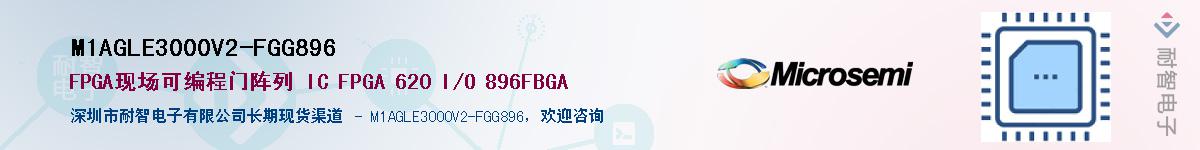 M1AGLE3000V2-FGG896Ӧ-ǵ