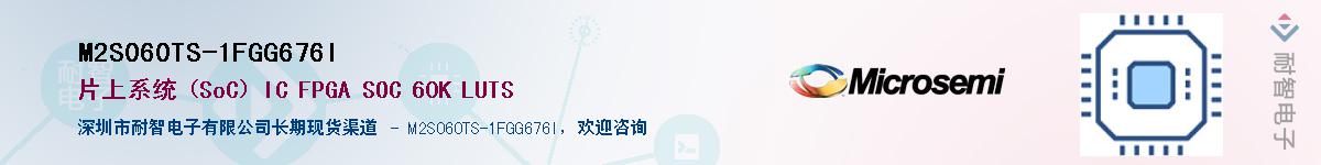 M2S060TS-1FGG676IӦ-ǵ