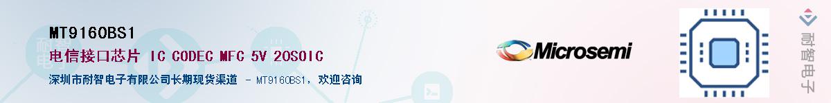 MT9160BS1��Ӧ��-���ǵ���