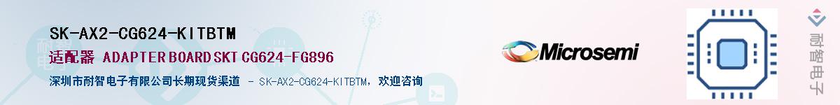 SK-AX2-CG624-KITBTM供应商-耐智电子