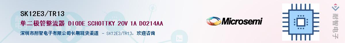 SK12E3/TR13��Ӧ��-���ǵ���