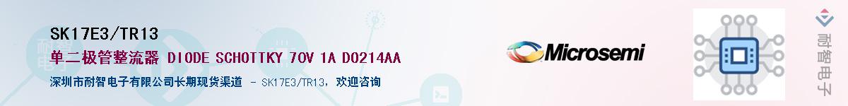 SK17E3/TR13��Ӧ��-���ǵ���