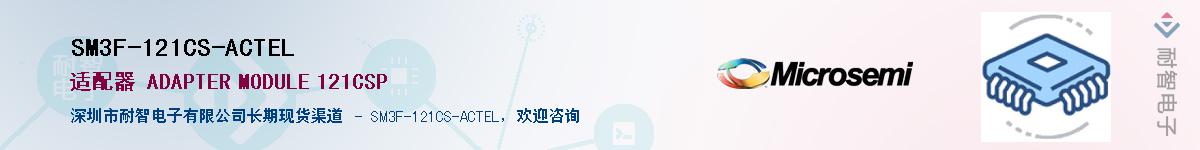 SM3F-121CS-ACTEL��Ӧ��-���ǵ���