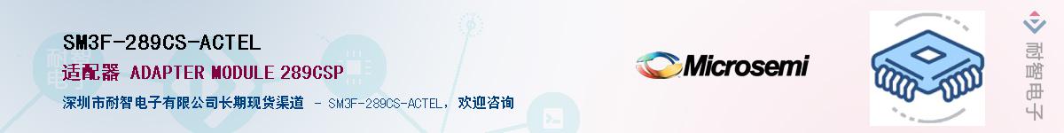 SM3F-289CS-ACTEL��Ӧ��-���ǵ���