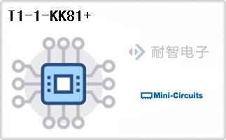 T1-1-KK81+