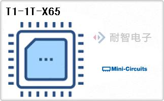 T1-1T-X65
