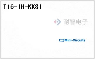 T16-1H-KK81