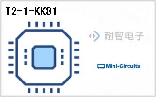 T2-1-KK81