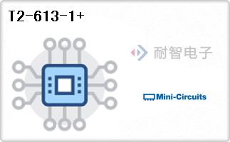 T2-613-1+