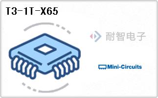 T3-1T-X65
