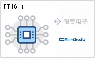 TT16-1