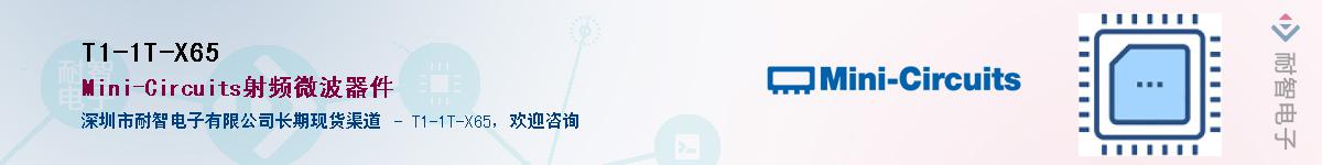 T1-1T-X65Ӧ-ǵ