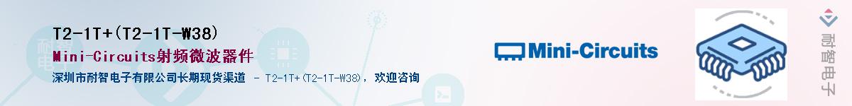 T2-1T+(T2-1T-W38)Ӧ-ǵ