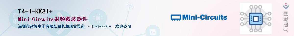 T4-1-KK81+Ӧ-ǵ