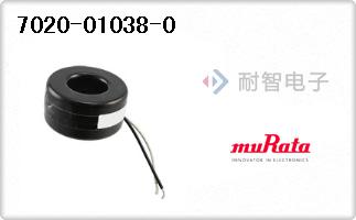 7020-01038-0