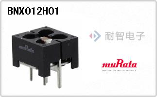 BNX012H01