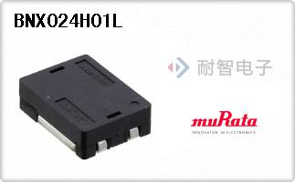 BNX024H01L
