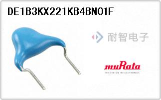 DE1B3KX221KB4BN01F