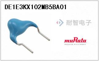 DE1E3KX102MB5BA01