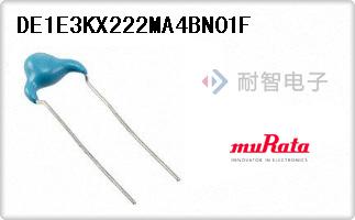 DE1E3KX222MA4BN01F