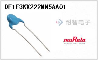 DE1E3KX222MN5AA01