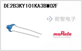 DE2B3KY101KA3BM02F