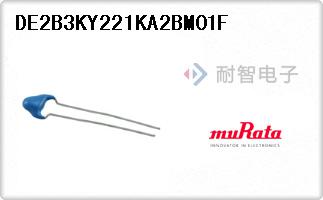 DE2B3KY221KA2BM01F