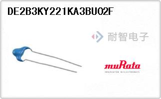 DE2B3KY221KA3BU02F