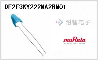 DE2E3KY222MA2BM01