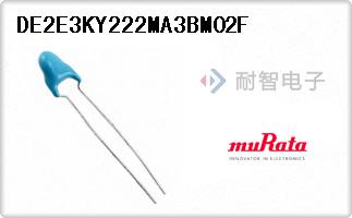 DE2E3KY222MA3BM02F