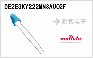 DE2E3KY222MN3AU02F